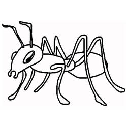 着色页: 蚂蚁 - 免费可打印着色页
