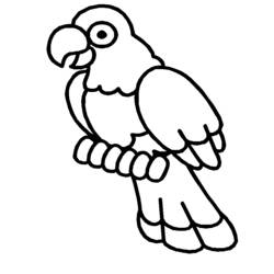 着色页: 鸟类 (动物) #11975 - 免费可打印着色页