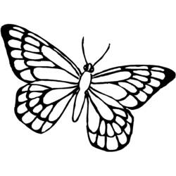 着色页: 蝴蝶 (动物) #15768 - 免费可打印着色页