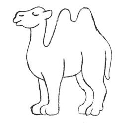 着色页: 骆驼 - 免费可打印着色页