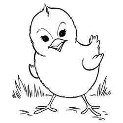 着色页: 小鸡 (动物) #15338 - 免费可打印着色页