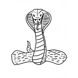 着色页: 眼镜蛇 (动物) #3228 - 免费可打印着色页
