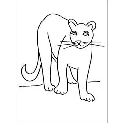 着色页: 美洲狮 (动物) #4384 - 免费可打印着色页