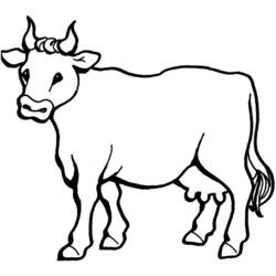 着色页: 奶牛 (动物) #13195 - 免费可打印着色页