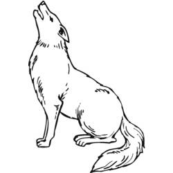 着色页: 郊狼 (动物) #4492 - 免费可打印着色页