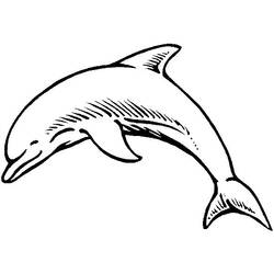 着色页: 海豚 (动物) #5120 - 免费可打印着色页