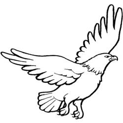 着色页: 鹰 (动物) #284 - 免费可打印着色页