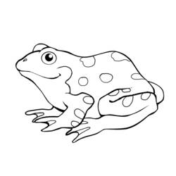 着色页: 青蛙 - 免费可打印着色页