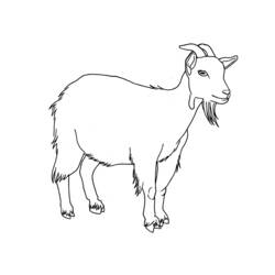 着色页: 山羊 (动物) #2406 - 免费可打印着色页