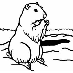 着色页: 土拨鼠 (动物) #10955 - 免费可打印着色页