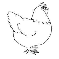 着色页: 母鸡 (动物) #17431 - 免费可打印着色页