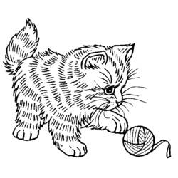 着色页: 小猫 (动物) #18086 - 免费可打印着色页