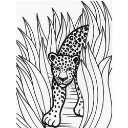 着色页: 豹 (动物) #9825 - 免费可打印着色页