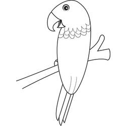 着色页: 鹦鹉 (动物) #16239 - 免费可打印着色页