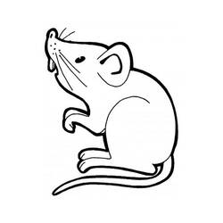 着色页: 鼠 (动物) #15219 - 免费可打印着色页