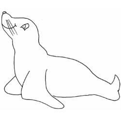 着色页: 海豹 (动物) #16265 - 免费可打印着色页