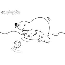 着色页: 海豹 (动物) #16277 - 免费可打印着色页