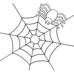 着色页: 蜘蛛 - 免费可打印着色页