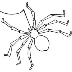 着色页: 蜘蛛 (动物) #597 - 免费可打印着色页
