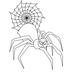 着色页: 蜘蛛 (动物) #630 - 免费可打印着色页