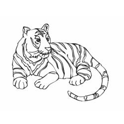 着色页: 老虎 - 免费可打印着色页