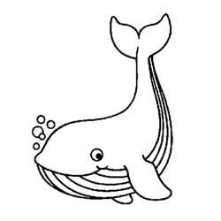 着色页: 鲸 (动物) #906 - 免费可打印着色页