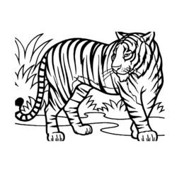 着色页: 野生/丛林动物 (动物) #21114 - 免费可打印着色页