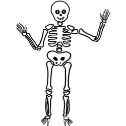 着色页: 骨骼 - 免费可打印着色页