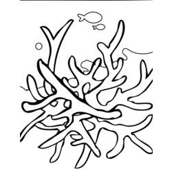 着色页: 珊瑚 (自然) #162890 - 免费可打印着色页