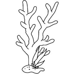 着色页: 珊瑚 (自然) #162999 - 免费可打印着色页