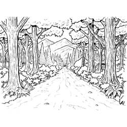 着色页: 森林 (自然) #157003 - 免费可打印着色页
