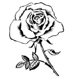 着色页: 玫瑰 (自然) #161863 - 免费可打印着色页