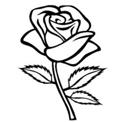 着色页: 玫瑰 (自然) #161866 - 免费可打印着色页