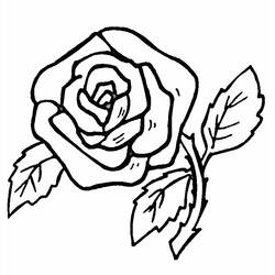 着色页: 玫瑰 (自然) #161870 - 免费可打印着色页