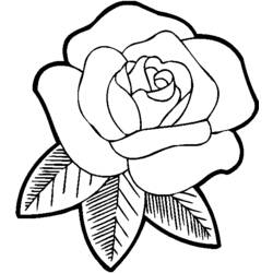 着色页: 玫瑰 (自然) #161871 - 免费可打印着色页