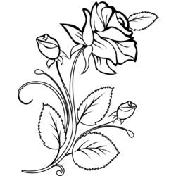 着色页: 玫瑰 (自然) #161874 - 免费可打印着色页