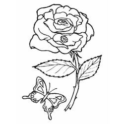 着色页: 玫瑰 (自然) #161885 - 免费可打印着色页