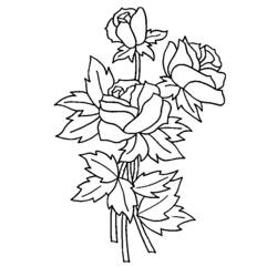 着色页: 玫瑰 (自然) #161895 - 免费可打印着色页