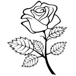 着色页: 玫瑰 (自然) #161909 - 免费可打印着色页