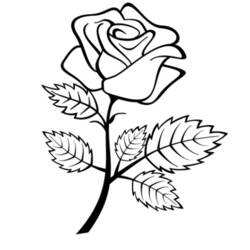 着色页: 玫瑰 (自然) #161936 - 免费可打印着色页