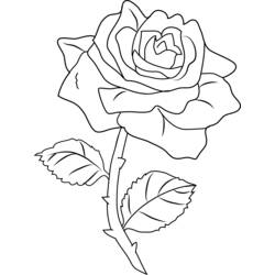 着色页: 玫瑰 (自然) #161971 - 免费可打印着色页