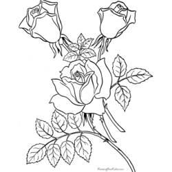 着色页: 玫瑰 (自然) #161984 - 免费可打印着色页