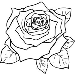 着色页: 玫瑰 (自然) #162072 - 免费可打印着色页