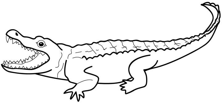 着色页: 短吻鳄 (动物) #397 - 免费可打印着色页