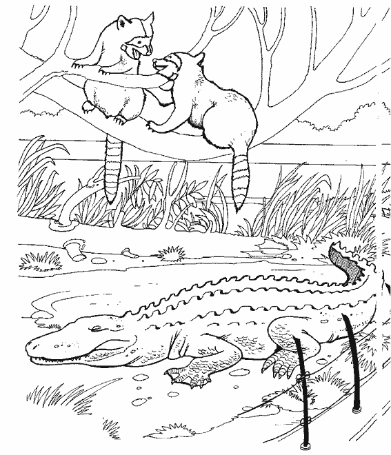 着色页: 短吻鳄 (动物) #421 - 免费可打印着色页