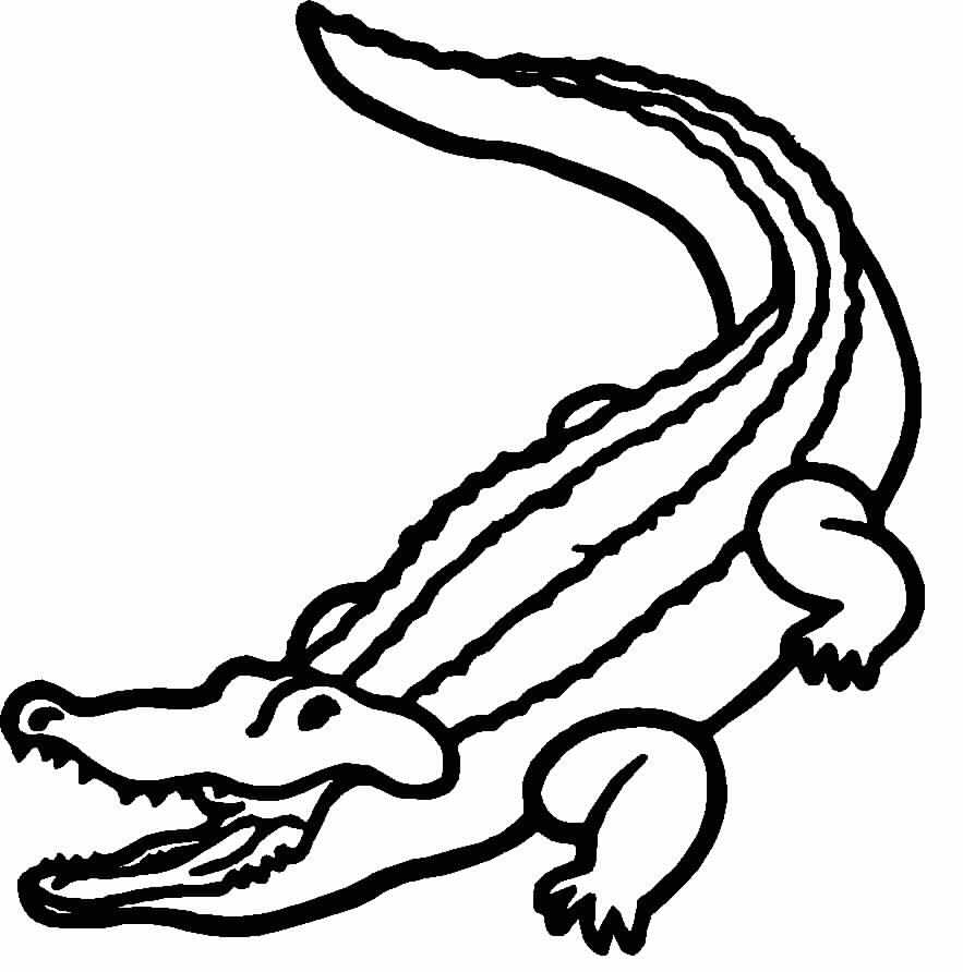 着色页: 短吻鳄 (动物) #424 - 免费可打印着色页