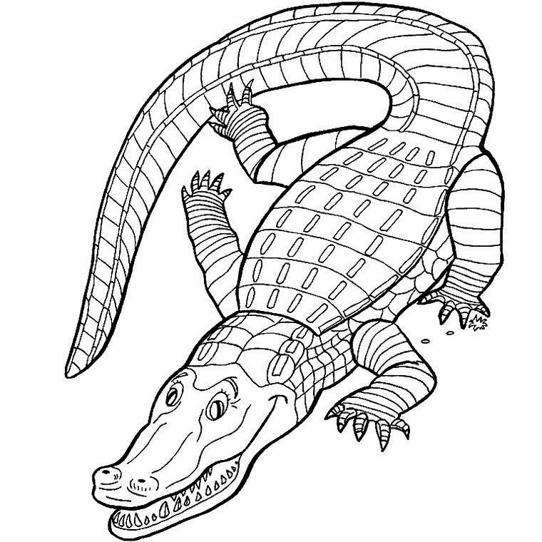 着色页: 短吻鳄 (动物) #434 - 免费可打印着色页