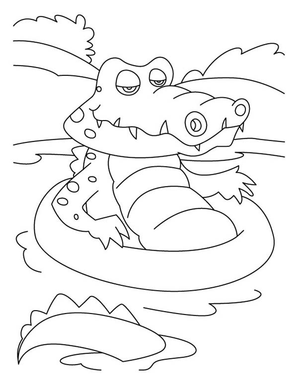 着色页: 短吻鳄 (动物) #451 - 免费可打印着色页
