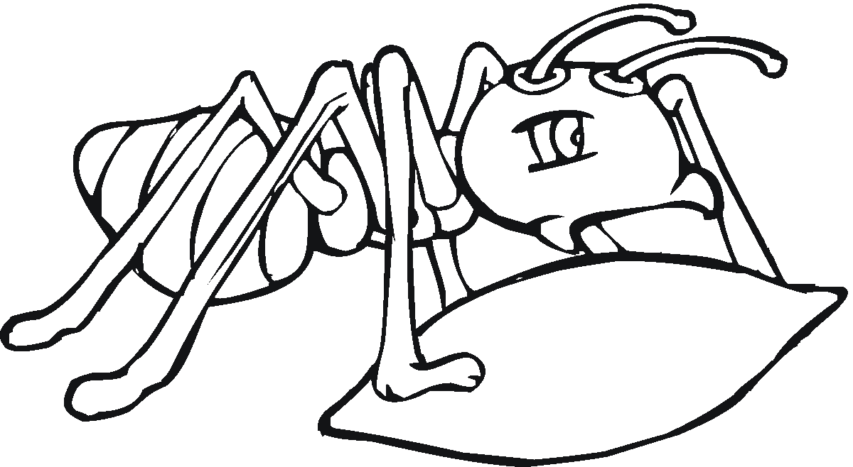 着色页: 蚂蚁 (动物) #6920 - 免费可打印着色页