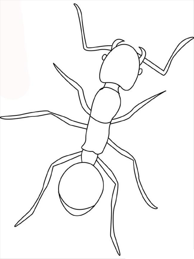 着色页: 蚂蚁 (动物) #6921 - 免费可打印着色页